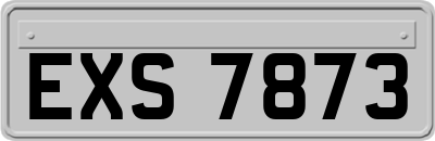 EXS7873