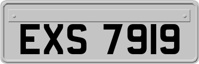 EXS7919