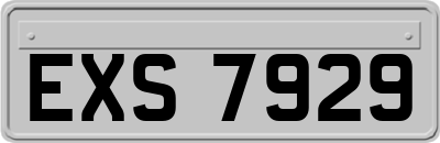 EXS7929