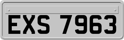 EXS7963