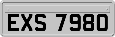 EXS7980