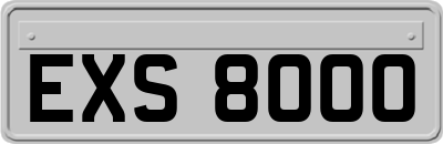 EXS8000