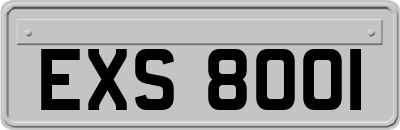 EXS8001