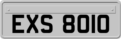 EXS8010