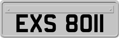 EXS8011