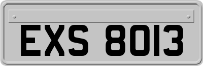 EXS8013