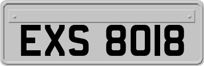 EXS8018
