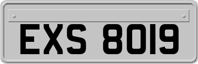 EXS8019