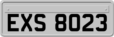 EXS8023