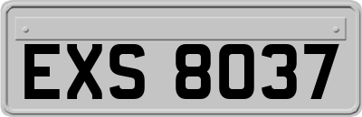 EXS8037