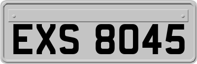 EXS8045