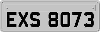EXS8073