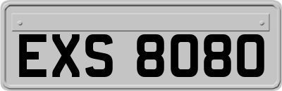 EXS8080