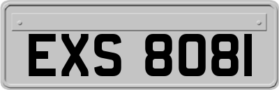 EXS8081
