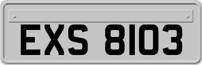EXS8103