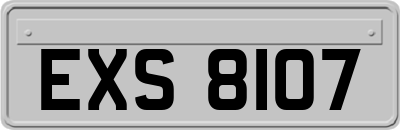 EXS8107