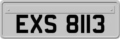 EXS8113