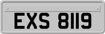 EXS8119