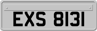 EXS8131