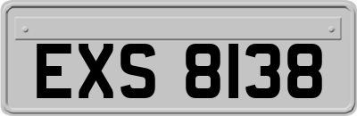 EXS8138