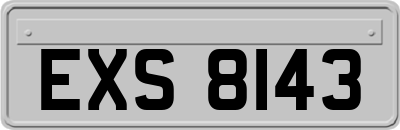 EXS8143