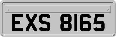 EXS8165