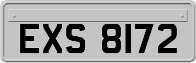 EXS8172