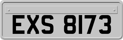 EXS8173