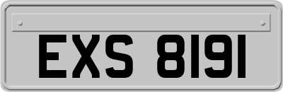 EXS8191