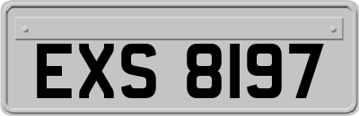 EXS8197