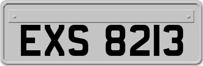 EXS8213