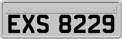 EXS8229