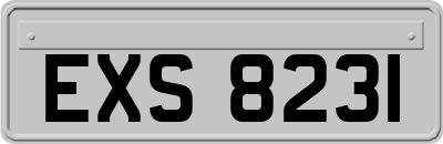 EXS8231
