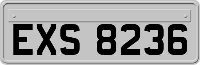 EXS8236