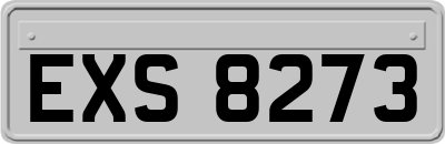 EXS8273