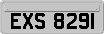 EXS8291