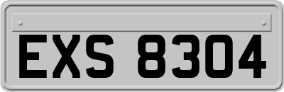 EXS8304