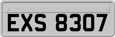 EXS8307