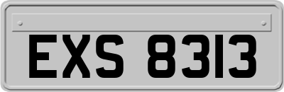 EXS8313