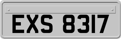 EXS8317