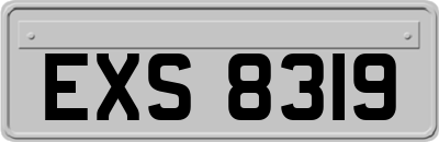 EXS8319