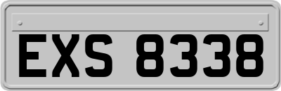 EXS8338