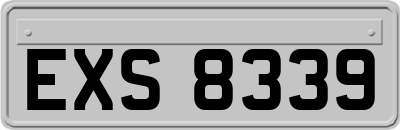EXS8339