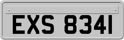 EXS8341