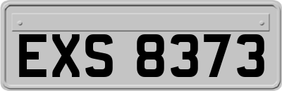EXS8373