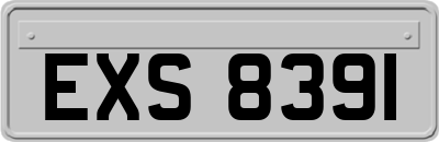 EXS8391