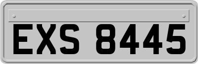 EXS8445