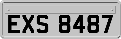 EXS8487