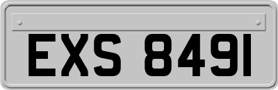 EXS8491