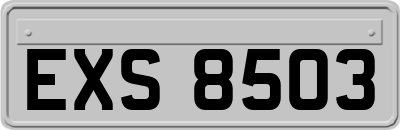 EXS8503